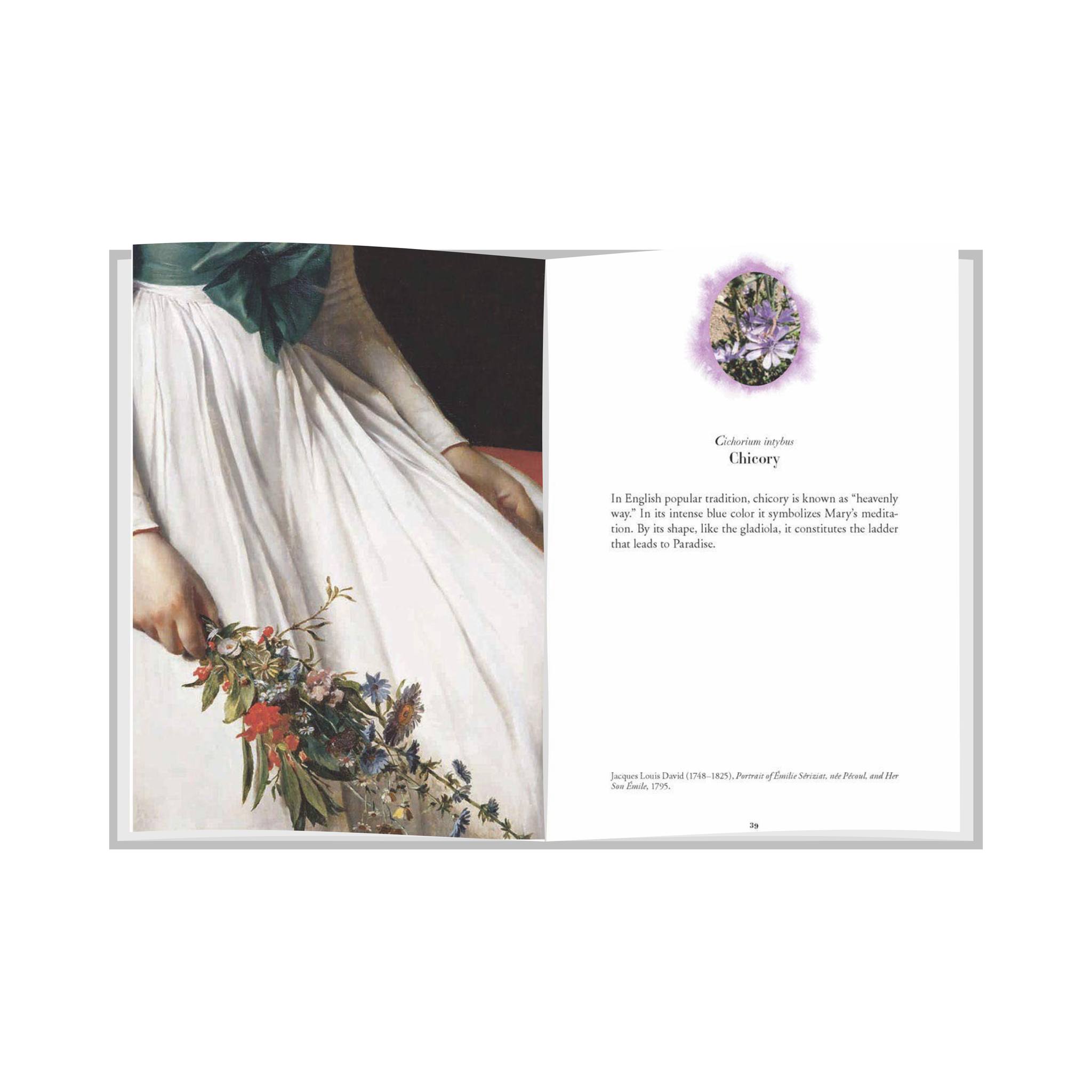 Artbook - Sách Tiếng Anh - The Secret Language of Flowers