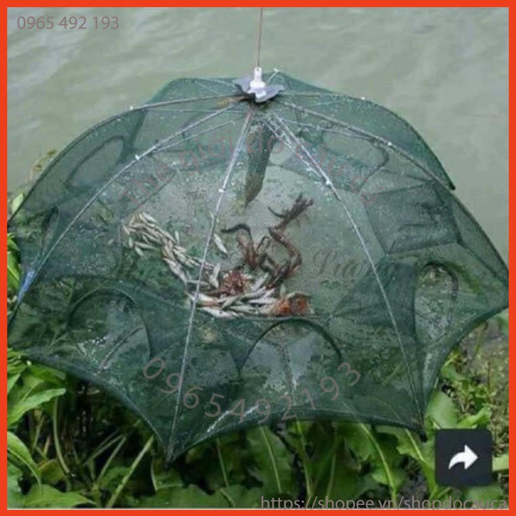 Lồng Ô