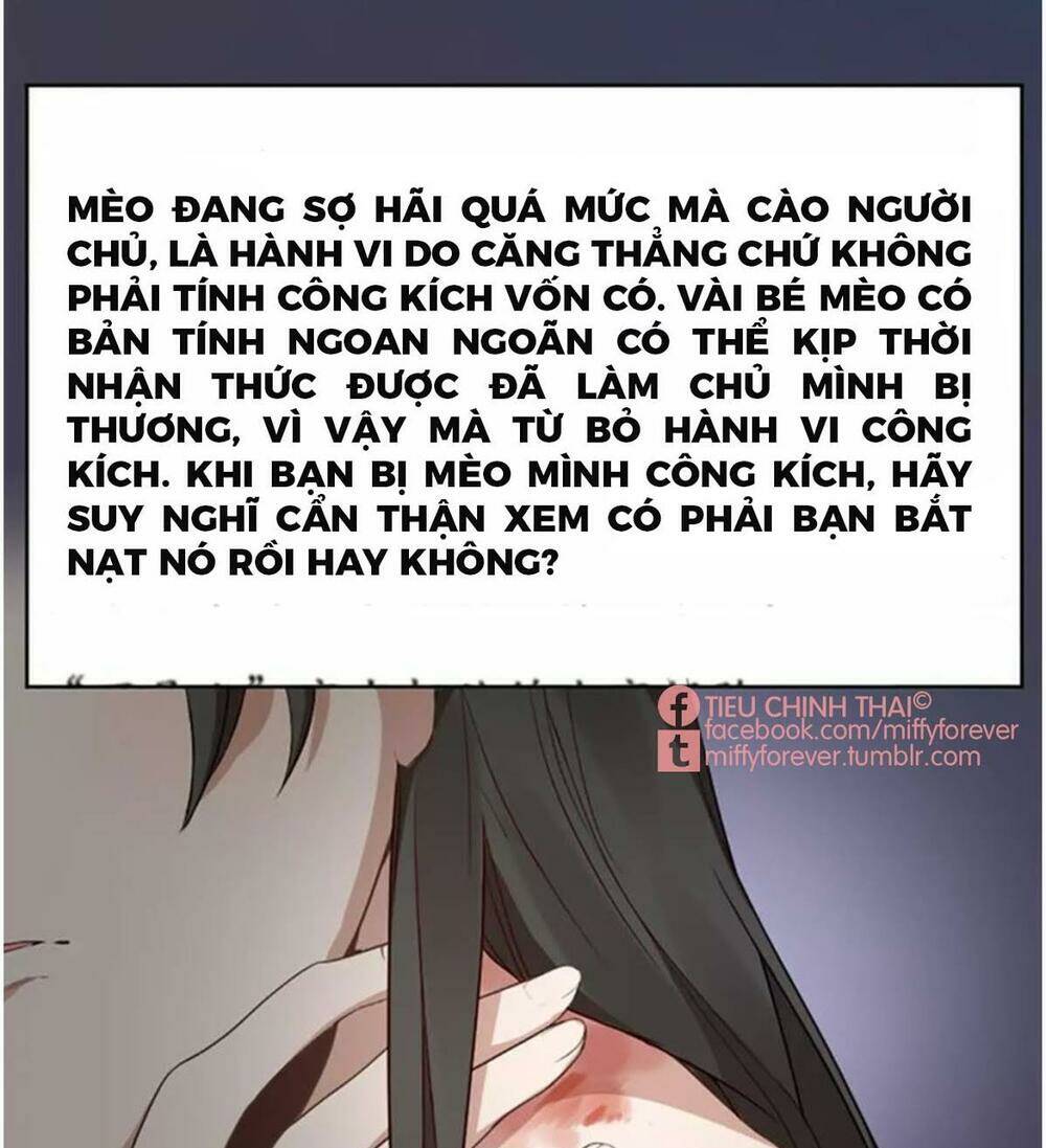 bạn trai quái vật chapter 8 12