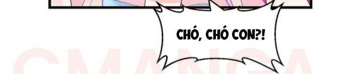 ta chẳng qua là một đại la kim tiên chapter 71 19