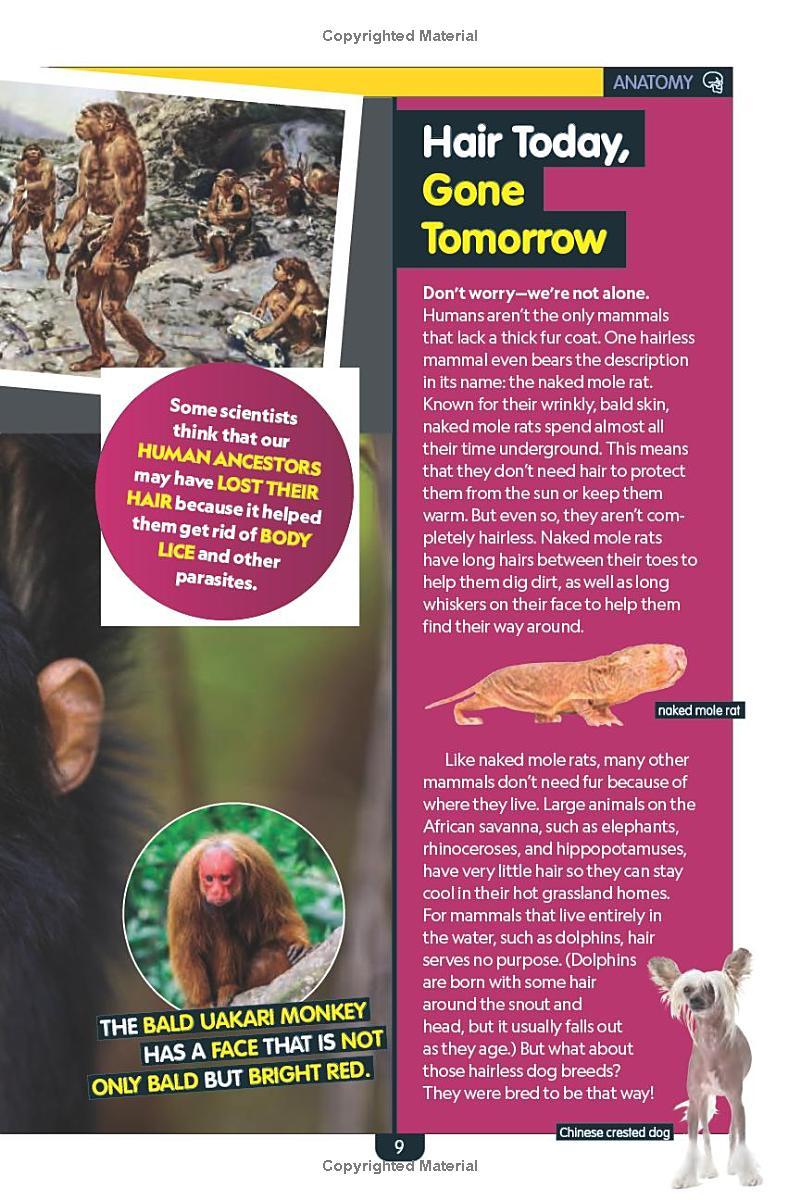 Sách ngoại văn: Why? The Human Body