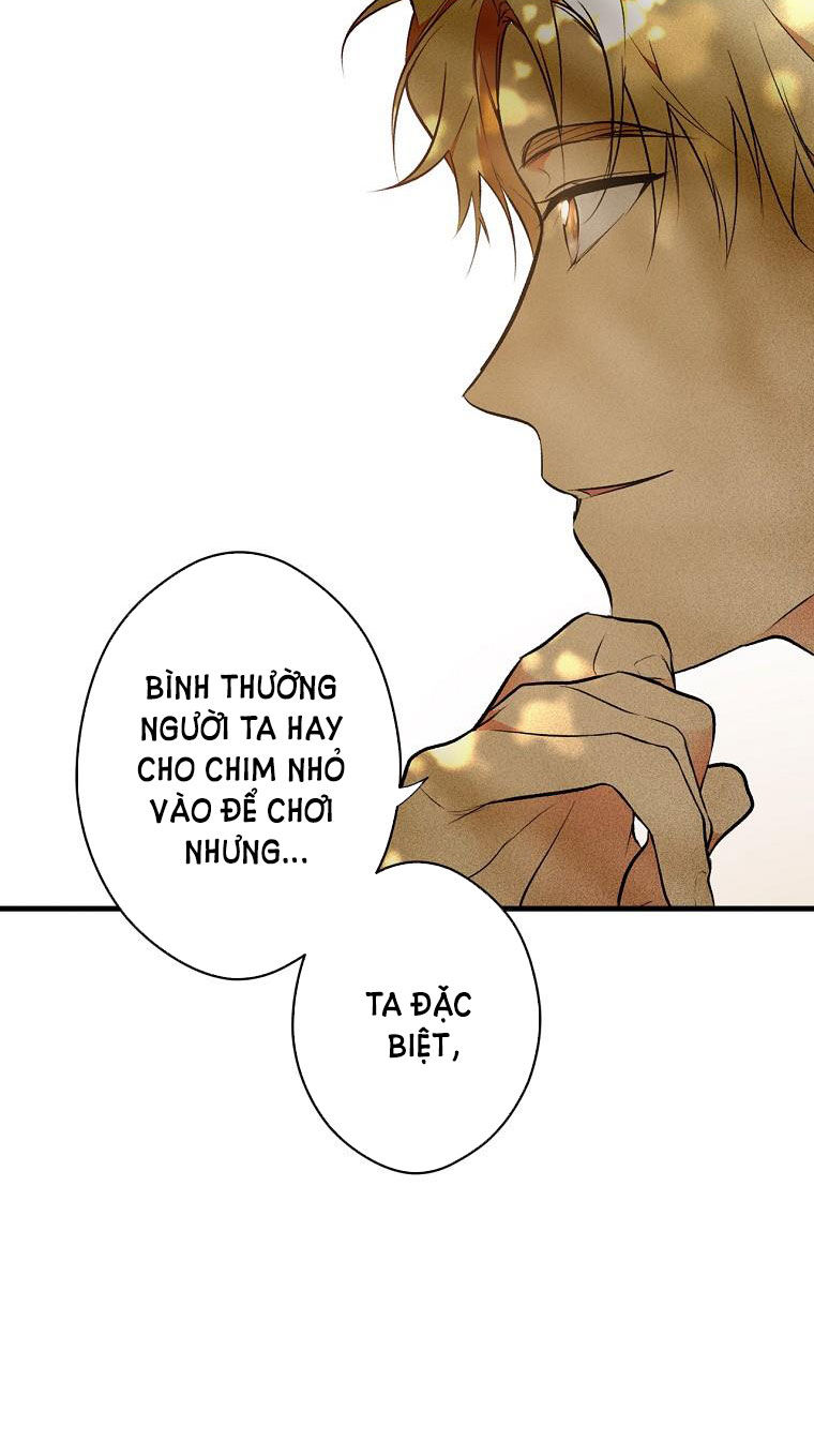 quý cô bí ẩn - secret lady chapter 55 19