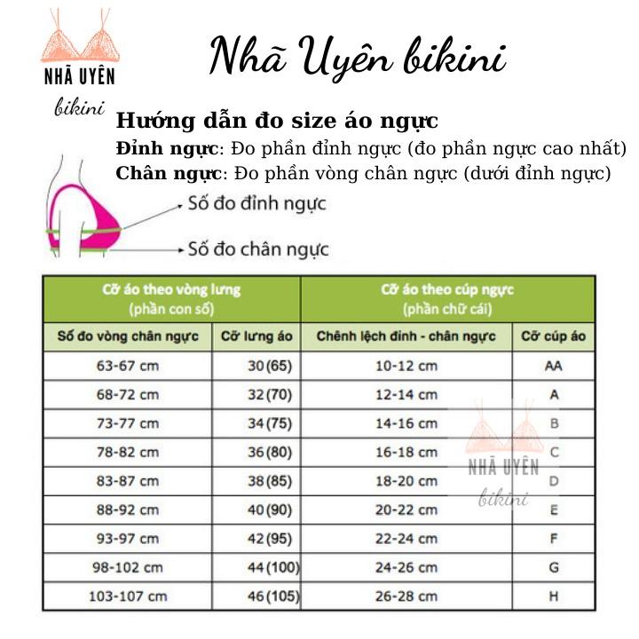 Sỉ áo lót 198 ren big size bản to 4 móc cài che mỡ thừa