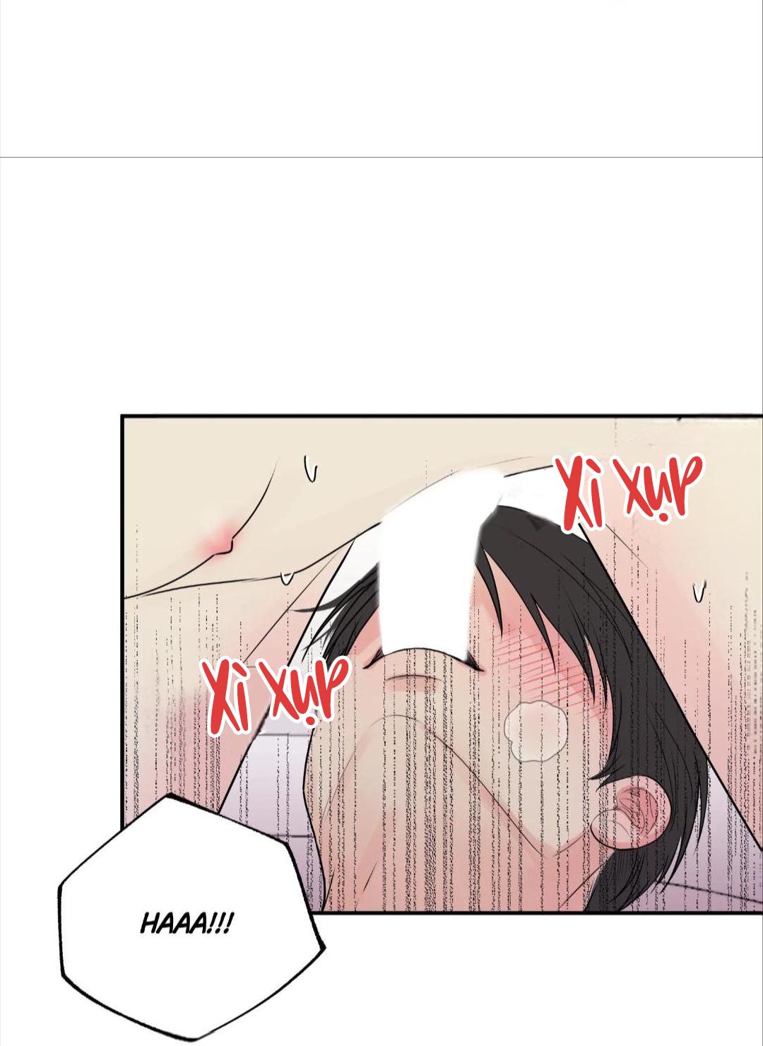 hạnh phúc trọn vẹn chapter 19 50