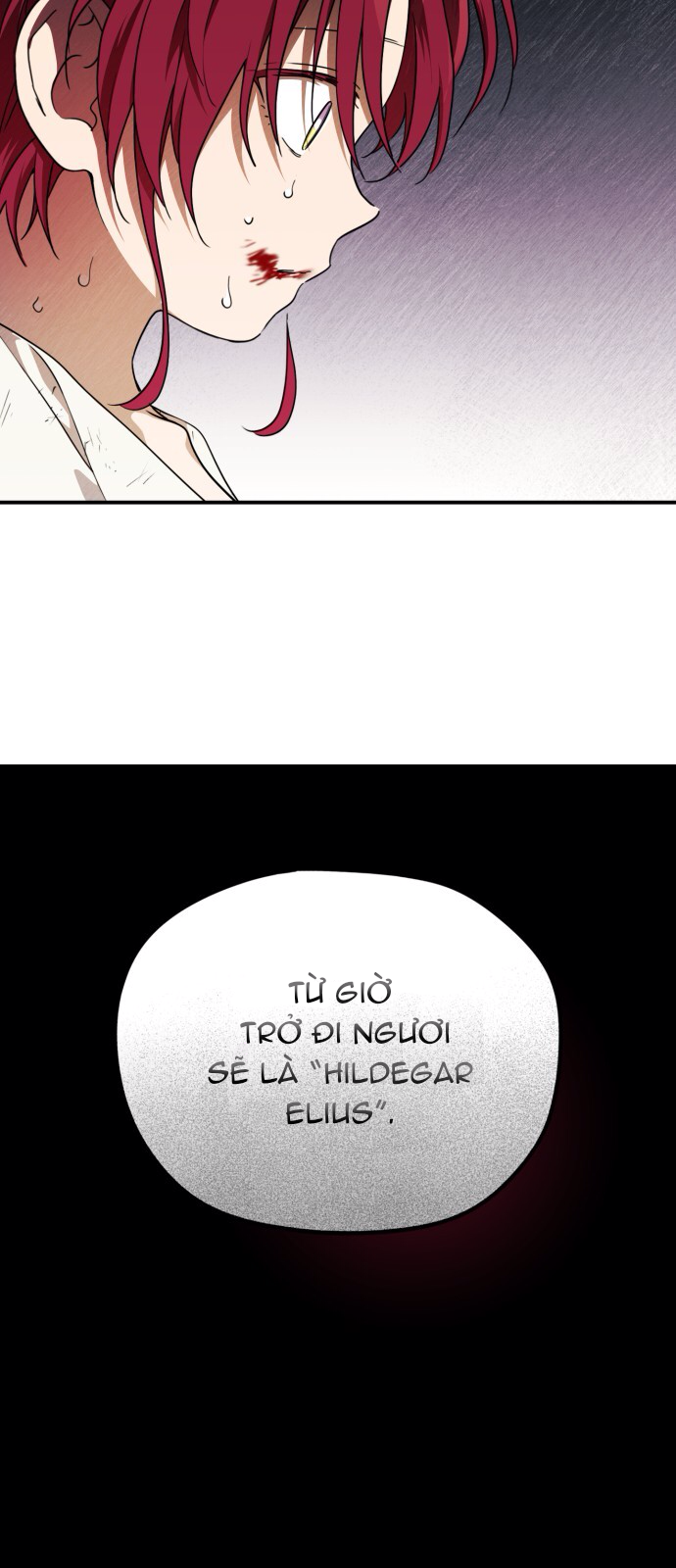 bị che khuất bởi hoàng hôn chapter 68.2 12