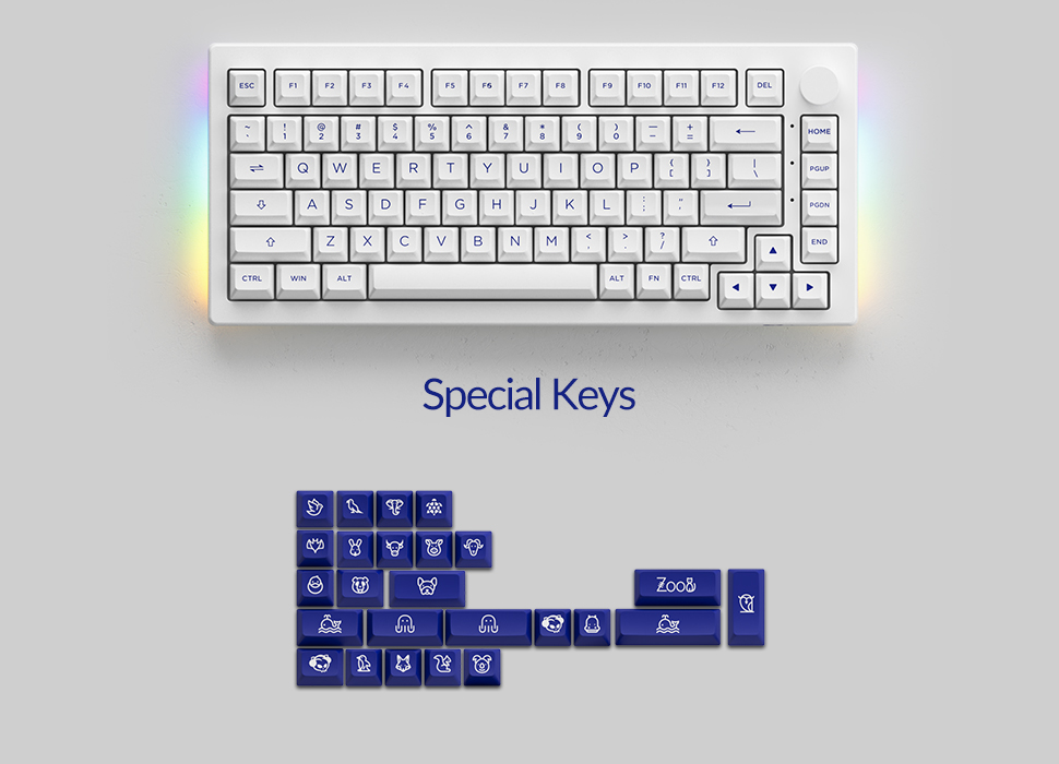 Bàn phím cơ AKKO 5075B Plus Blue on White - Hàng chính hãng