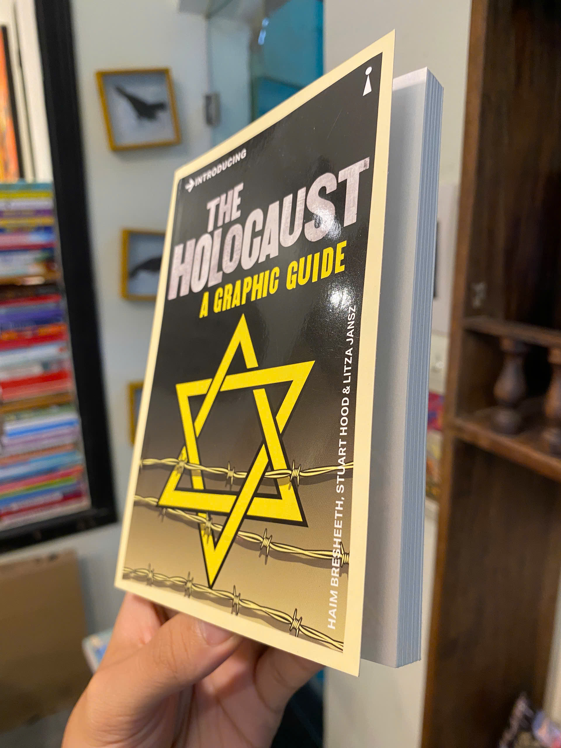 Sách - Introducing The Holocaust: A Graphic Guide by Haim Bresheeth | History Nonfiction