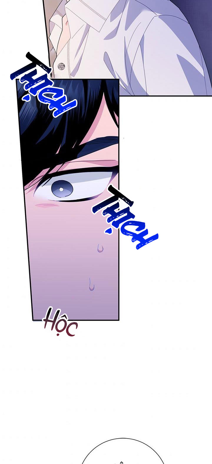 công chúa của loài chim chapter 52.1 48