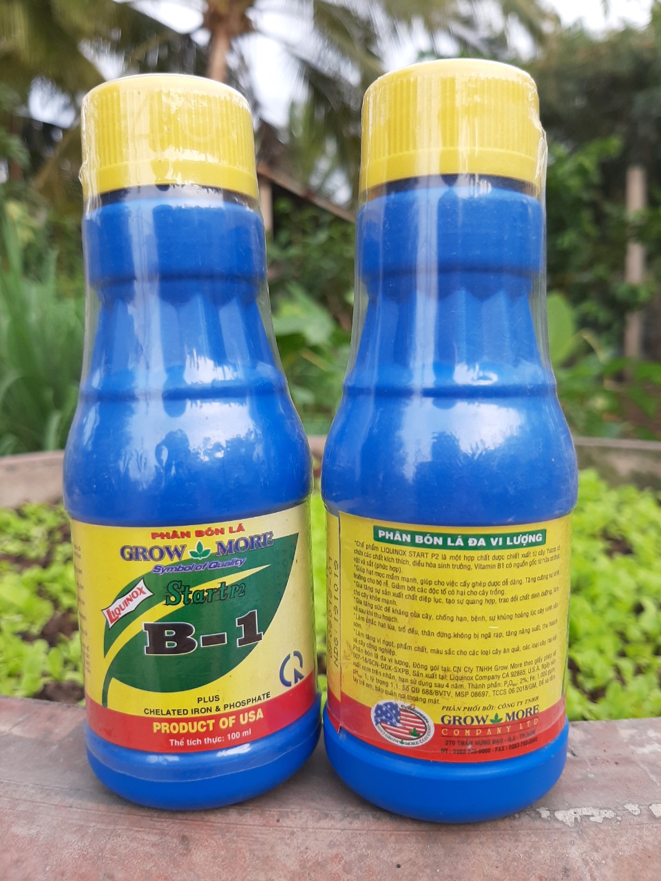 Phân bón lá cao cấp Growmore vitamin B1 kích rễ đâm chồi chai 100ml