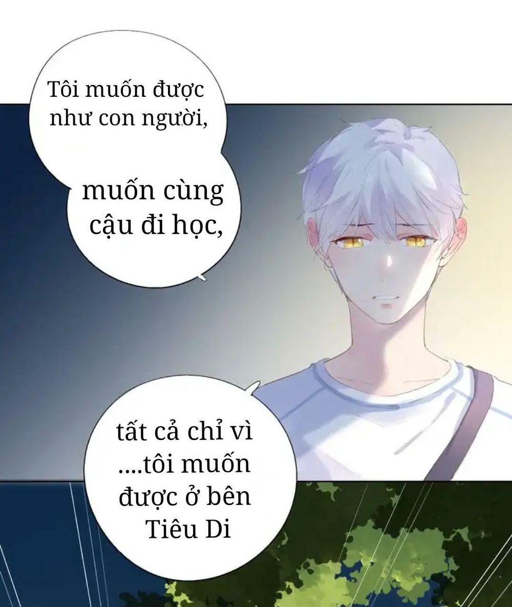 sos! tôi đã yêu một con sâu bướm (phần 2) chapter 41 24