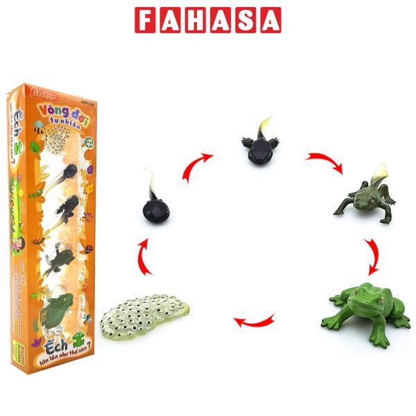 Đồ Chơi Mô Hình Vòng Đời Tự Nhiên - Ếch Lớn Lên Như Thế Nào? - Firstar DK81256