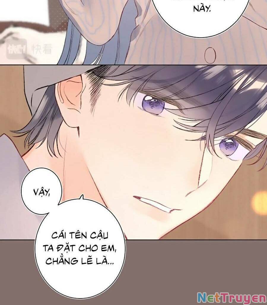 đừng khóc chapter 95 4