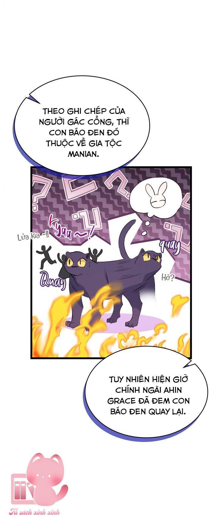 quan hệ cộng sinh giữa báo đen và thỏ trắng chapter 73 49