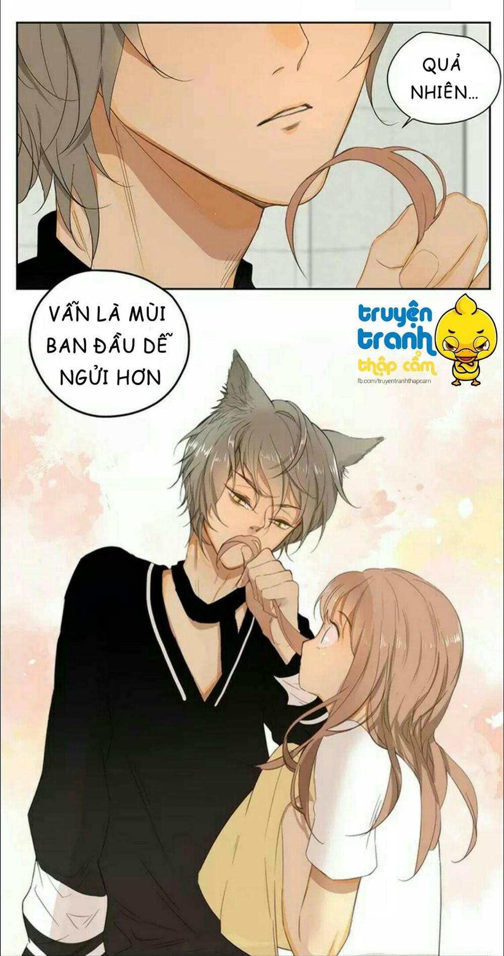 cứu mạng ! loài mèo thống trị thế giới rồi ! chapter 36 20