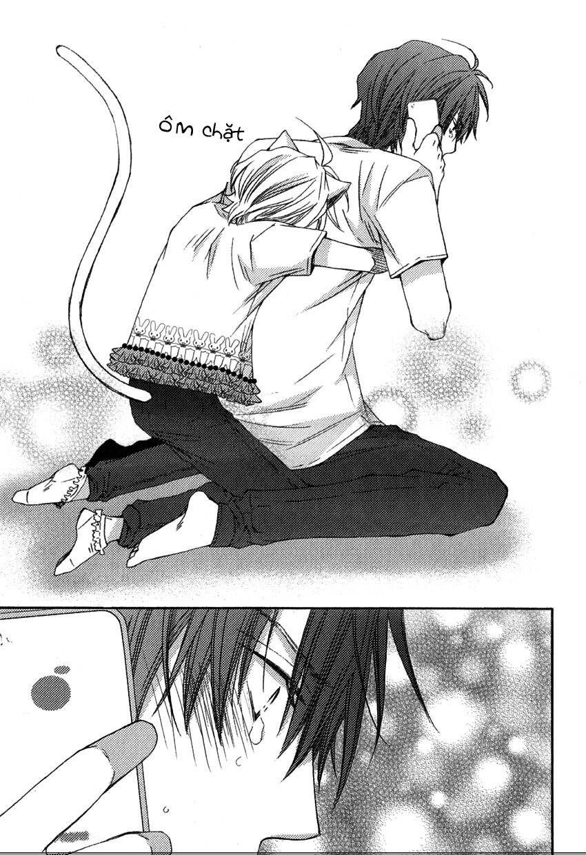 aigan kitty chapter 1 41