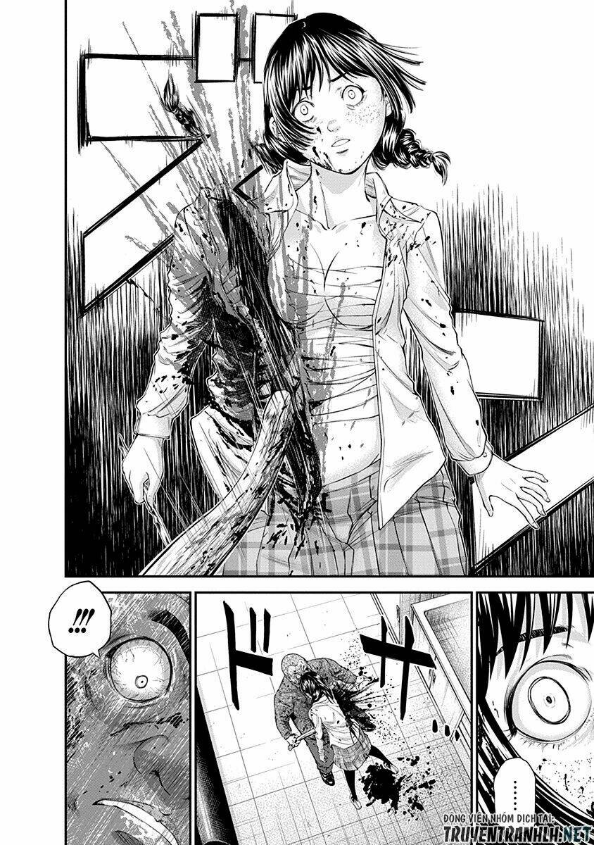 signal 100 chapter 17 10