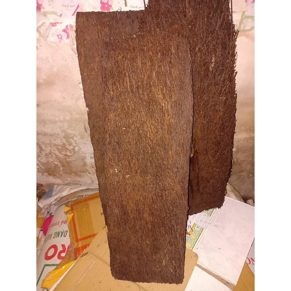 Dớn Bảng Ghép Lan - Bảng to đẹp loại 1