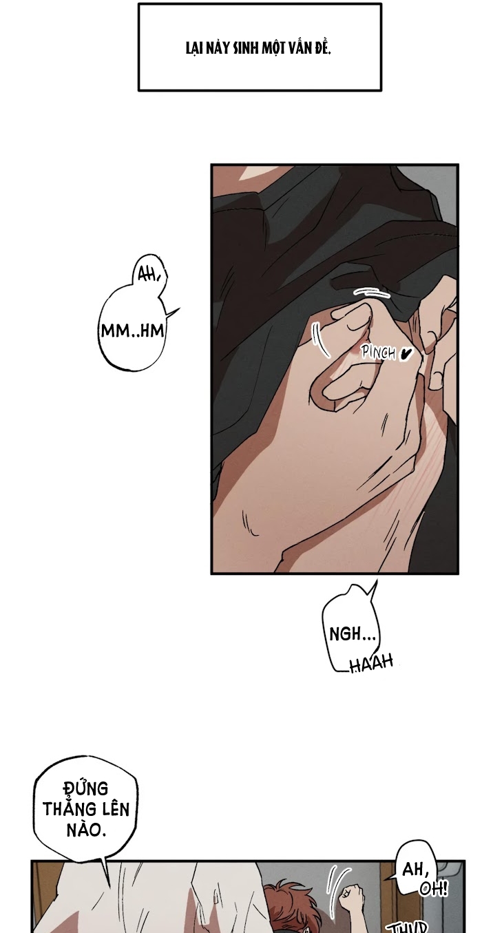 bẫy kép chapter 9 8