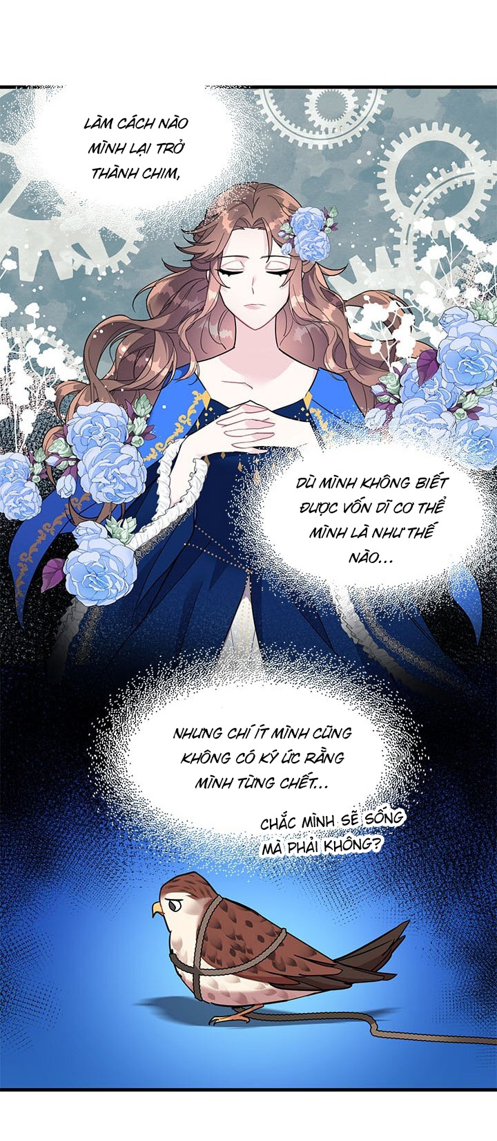công chúa của loài chim chapter 4 46