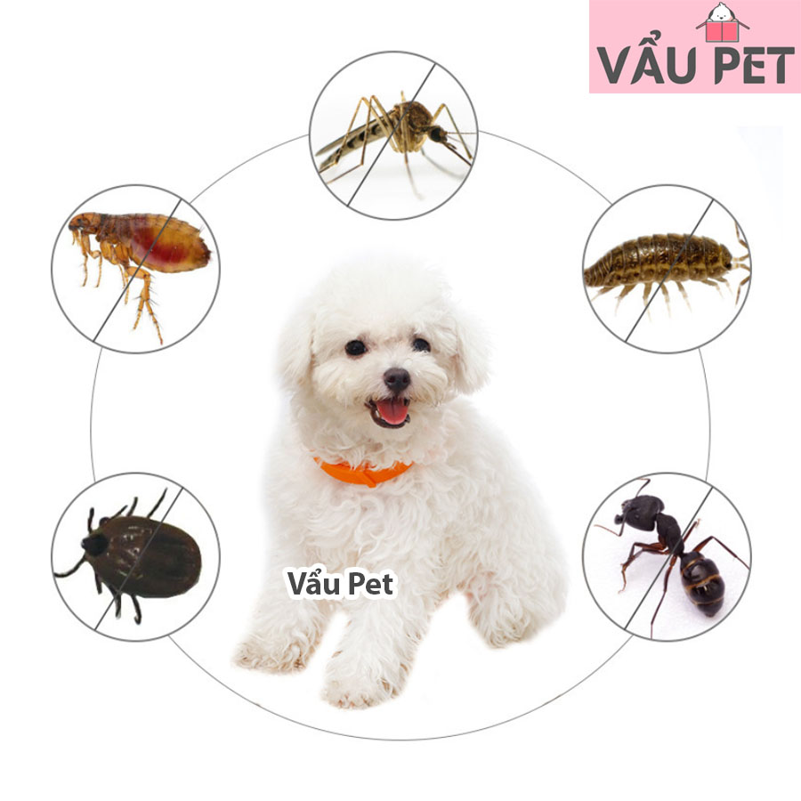 Vòng cổ chống ve giận cho chó mèo thú cưng Taotaopet