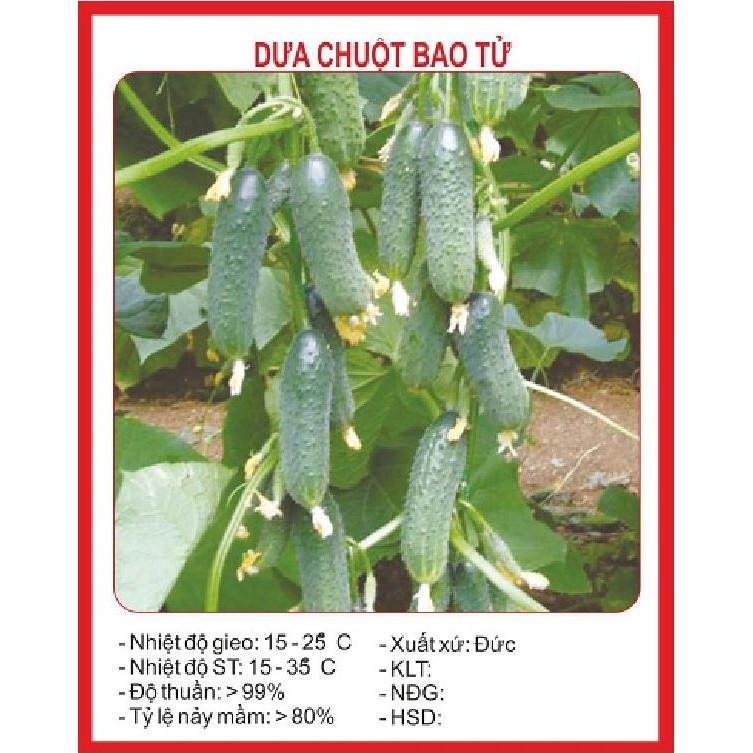 Hạt giống dưa chuột bao tử F1 - 10 hạt/gói