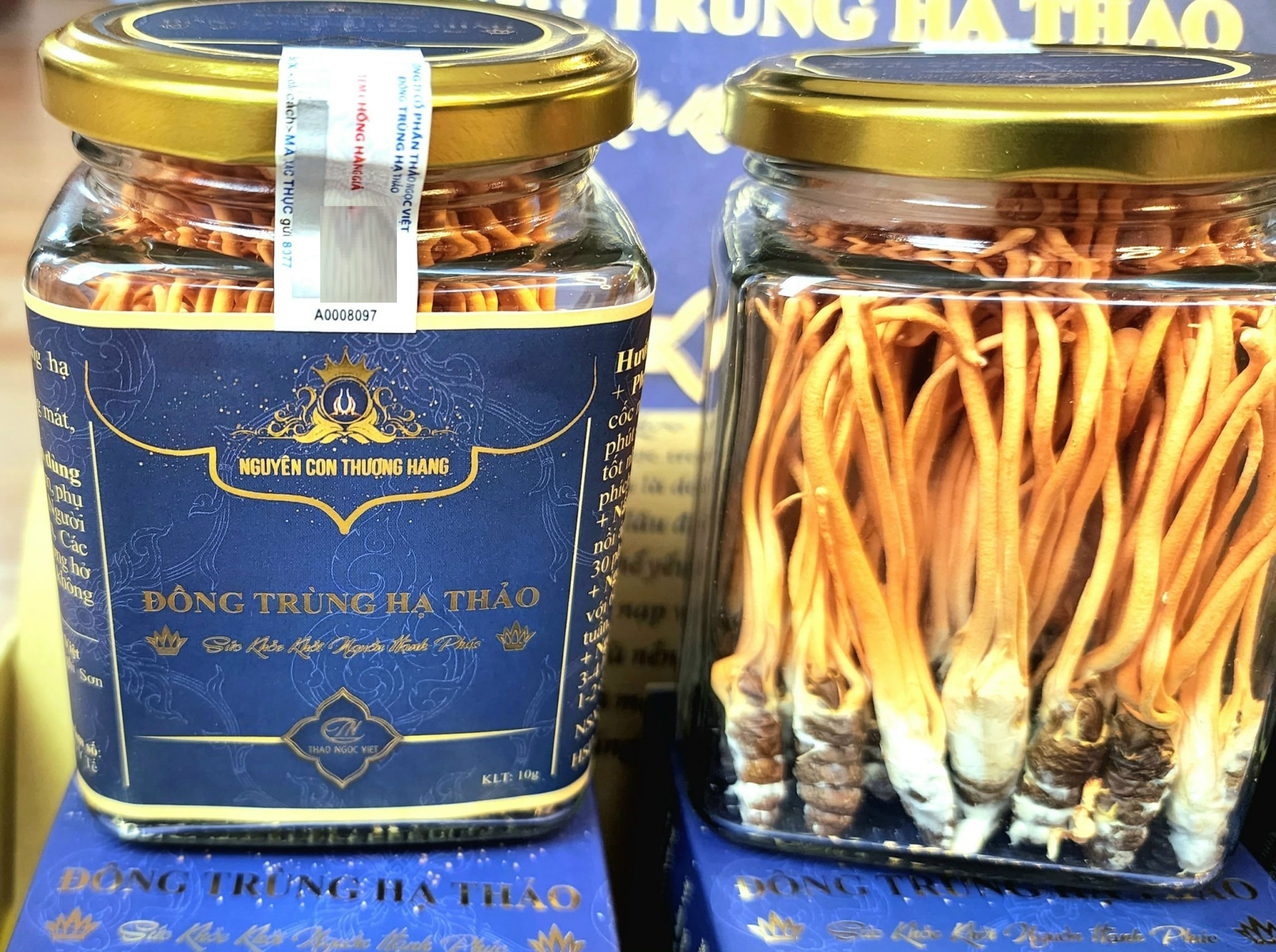 Đông trùng hạ thảo nguyên con thượng hạng Thảo Ngọc Việt - hộp 30g, dược chất cao, hiệu quả, an toàn, tiết kiệm