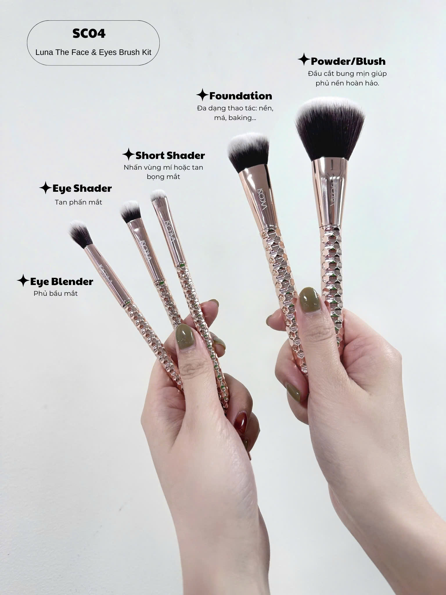 SC04 - BỘ KIT 5 CỌ CƠ BẢN VACOSI, PHIÊN BẢN GOLDEN DRAGON - LUNA THE FACE &amp; EYES BRUSH KIT, 5PCS