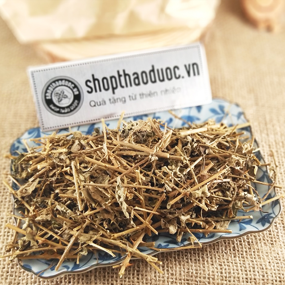Combo 2 Gói Cà Gai Leo Sấy Khô Shopthaoduoc.vn - Ngăn Ngừa Sơ Gan
