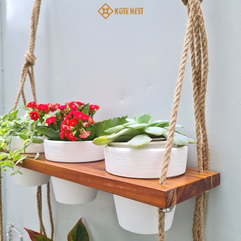 [Kute Nest] Kệ gỗ treo 3 tầng 9 chậu gốm trồng cây trang trí nhà cửa - Có 2 màu lựa chọn - Màu trắng