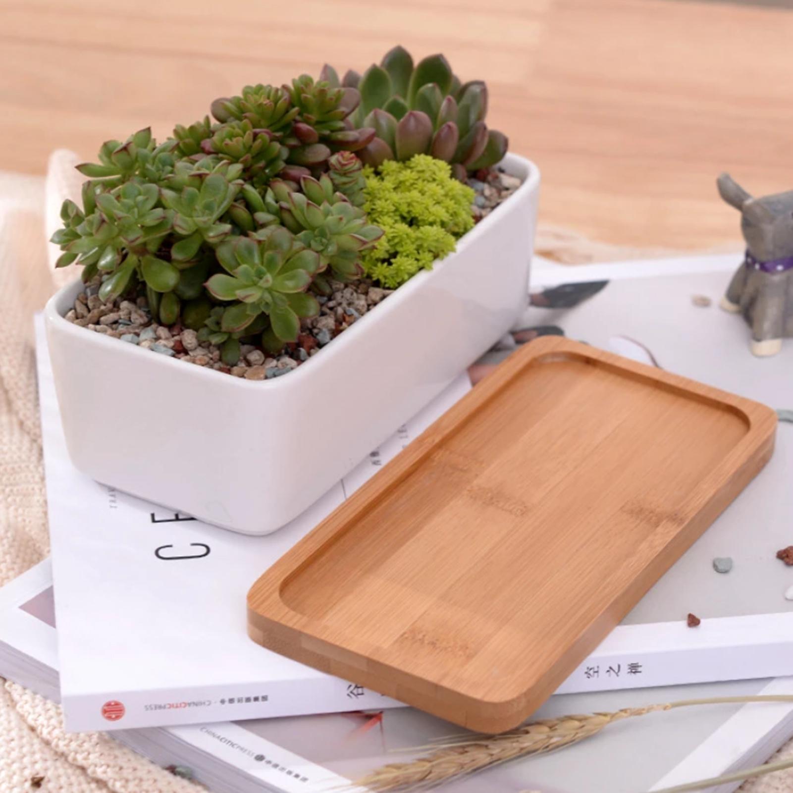 Chậu hoa bằng gốm hình chữ nhật màu trắng có khay tre để trang trí bàn làm việc