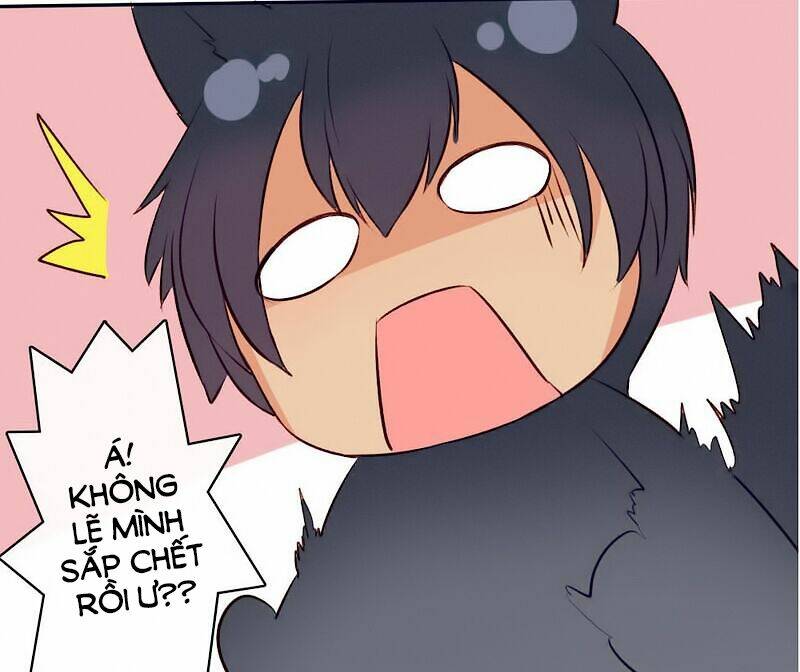 song sinh đổi chỗ ở chapter 11 37