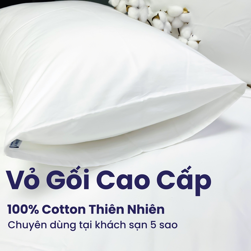 Combo 2 Vỏ gối khách sạn 5 sao màu trắng trơn - Mát mẻ mịn màng - Vỏ gối Cotton Sateen thiên nhiên 100