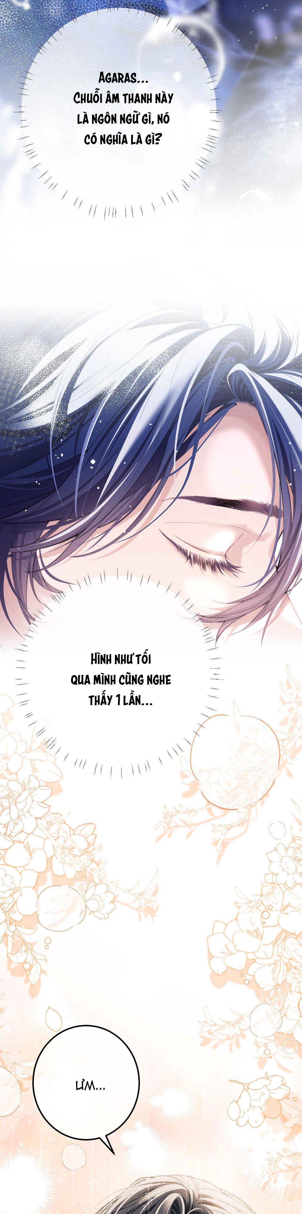 người cá desahrow chapter 5 6