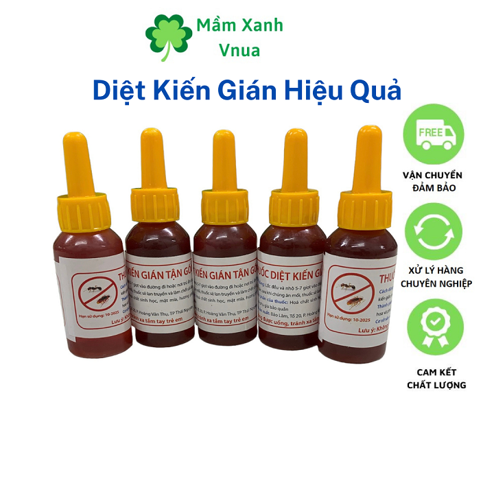 Thuốc Diệt Kiến - Diệt Gián Sinh Học Hiệu Quả 100%