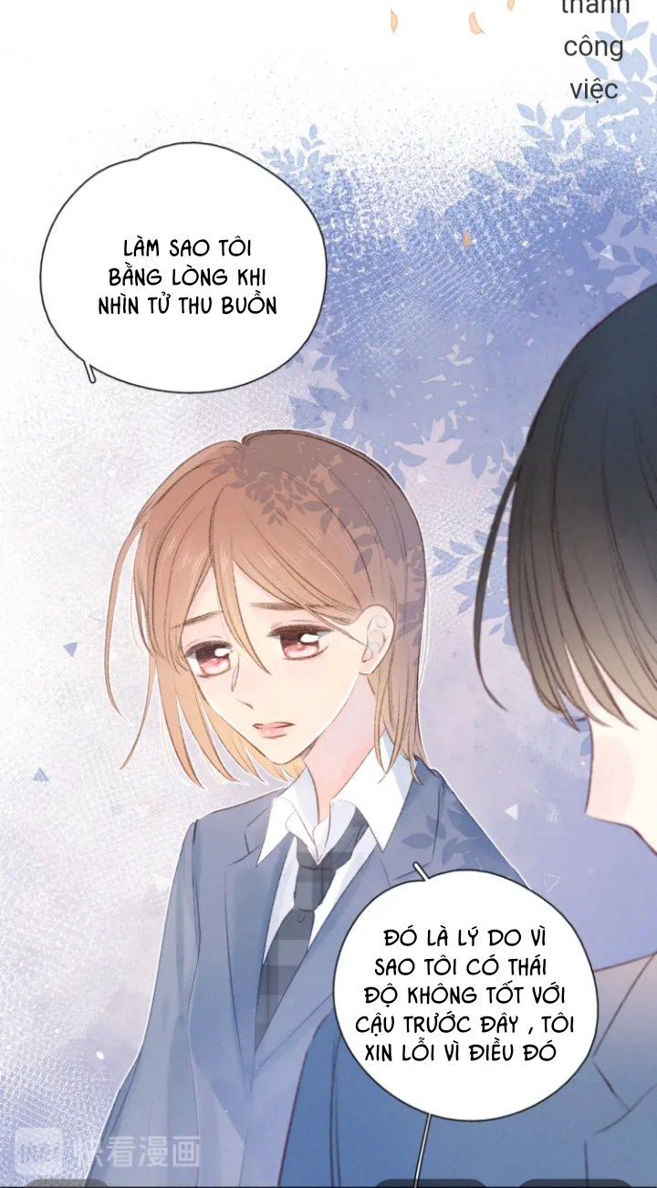 nỗi buồn của hoa cẩm tú cầu chapter 42 14