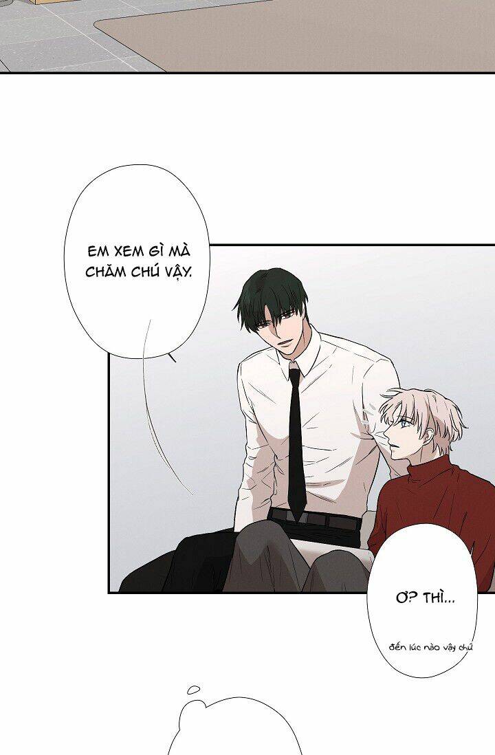 trốn tìm chapter 23 18