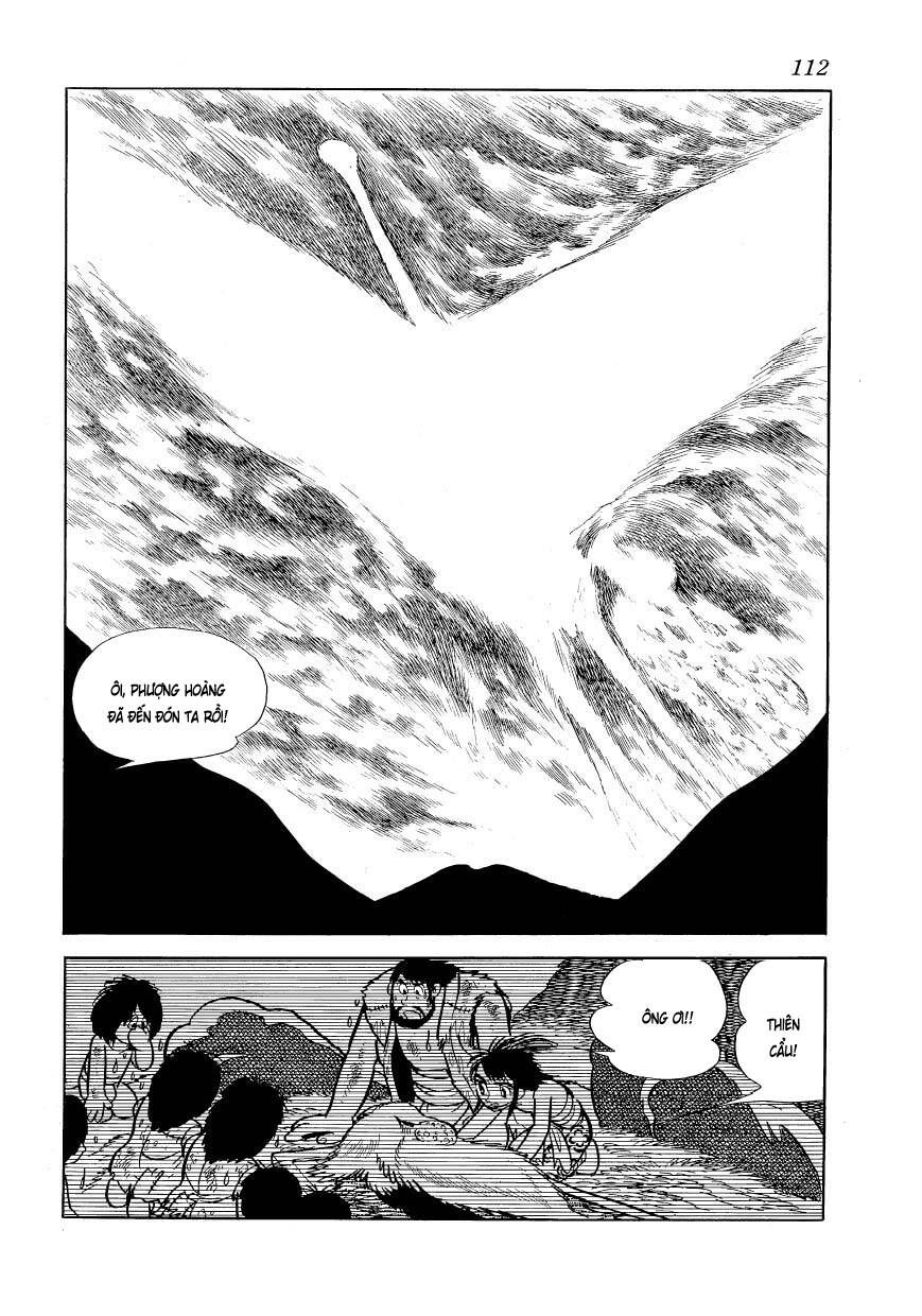 chim lửa chapter 81 11