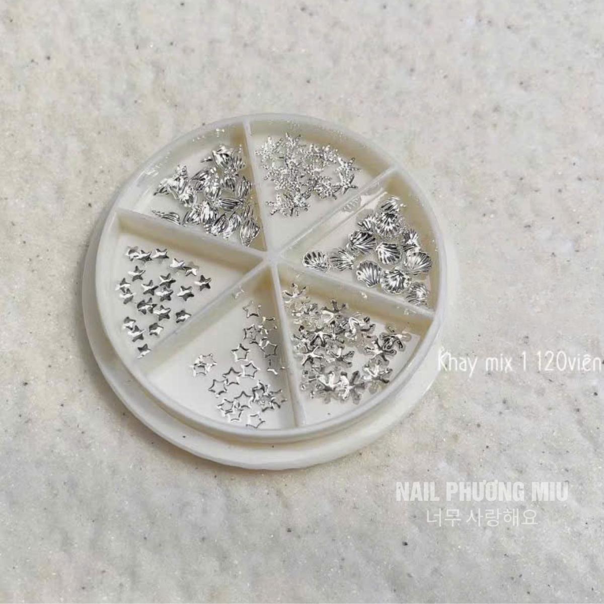 Khay Charm Biển Vỏ Sò, Cá, Sao Biển Mùa Hè Bằng Kim Loại Không Gỉ Hộp Tròn 6 Ô Màu Bạc Làm Nail Sáng Lấp Lánh Nữ Women