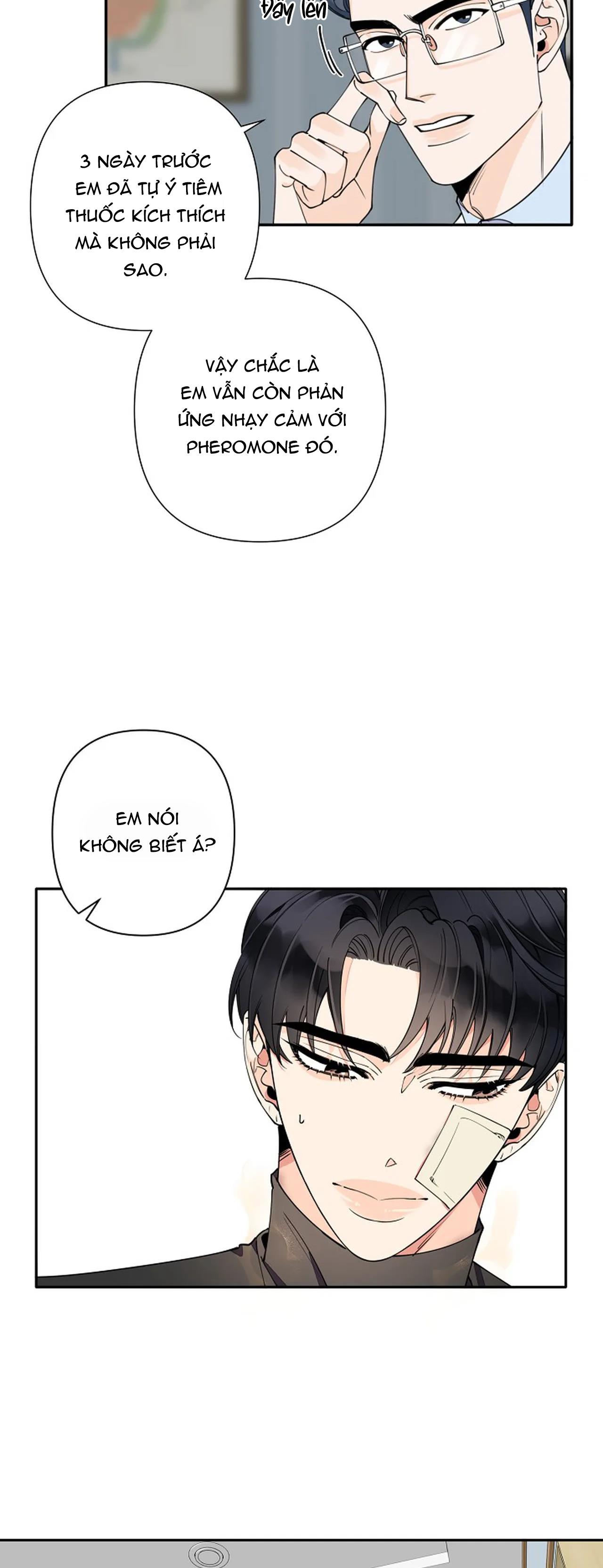đêm dịu dàng chapter 8 7