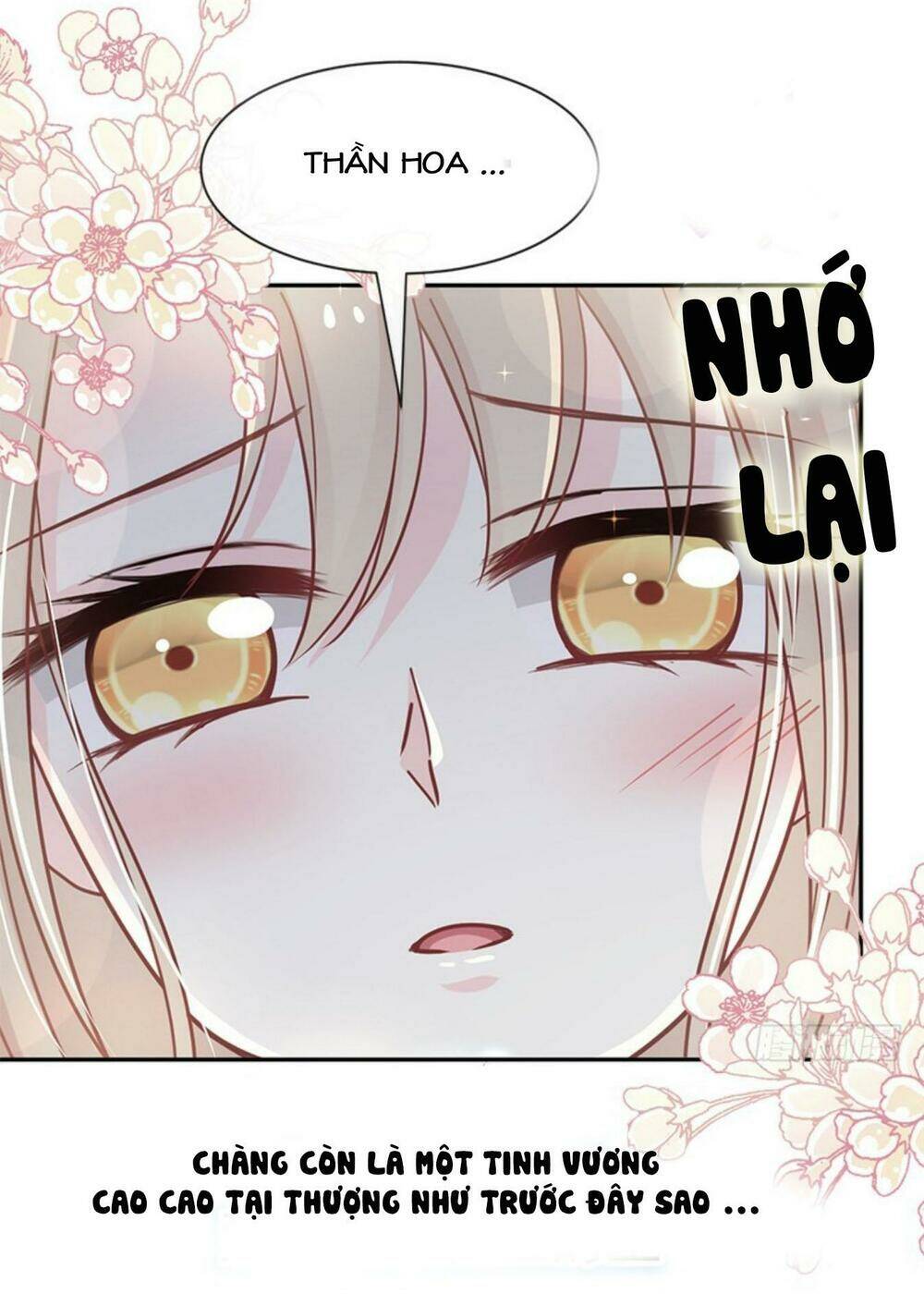 thiên hạ đệ nhất sủng phi chapter 81.2 19