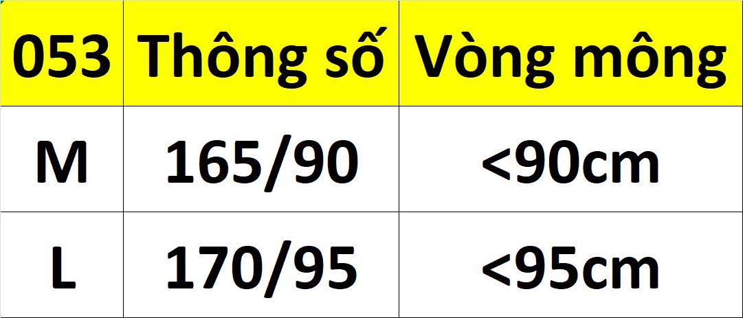 COMBO 3 QUẦN LỌT KHE REN KÈM CỤC BÔNG SIÊU XINH 053