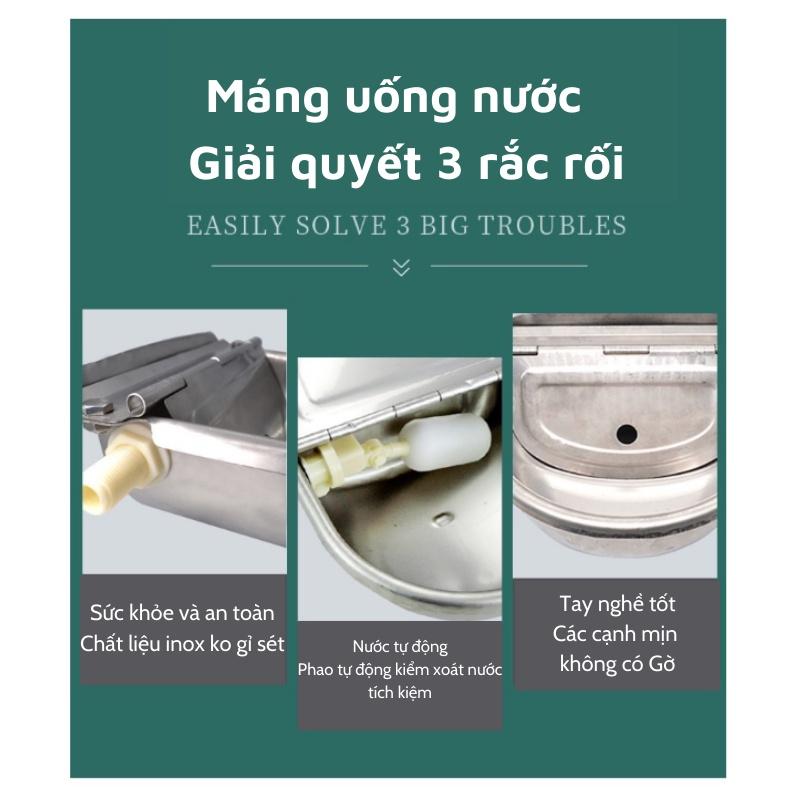 Máng uống nước tự động cho bò gia xúc Inox 304 MU57