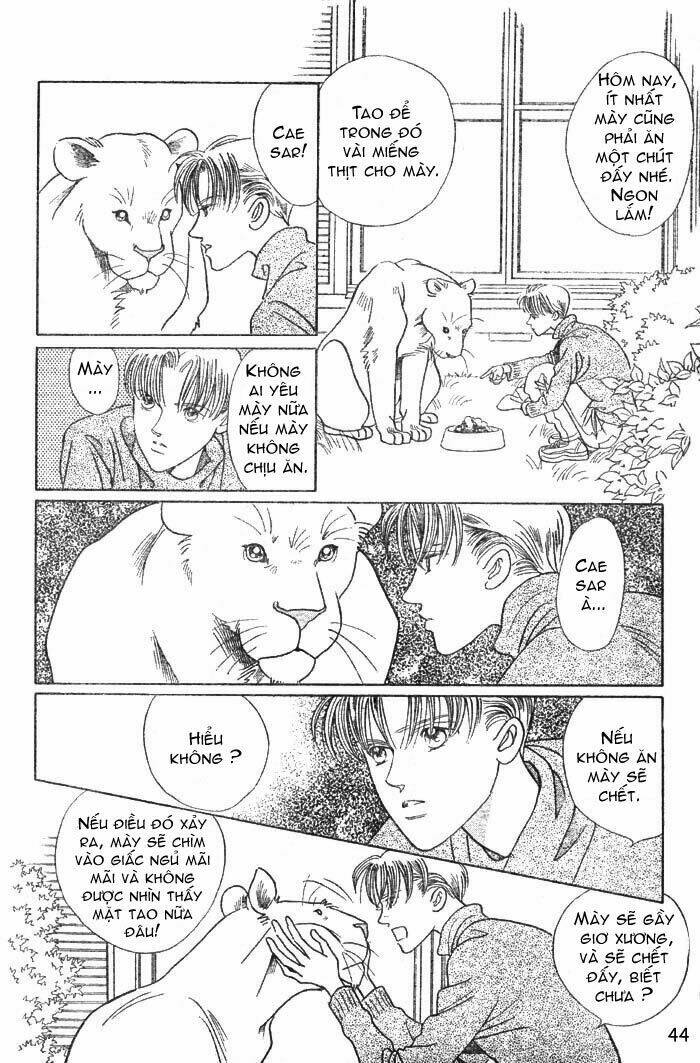 Wild Cats Chapter 1: Oneshot - Trang 46