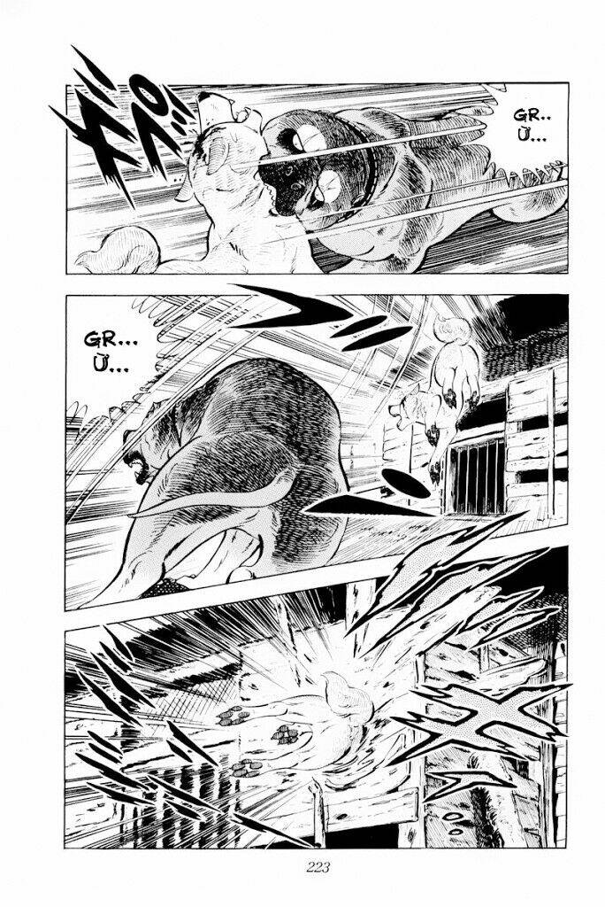 chú chó có nghĩa - ginga nagareboshi gin chapter 29.2 10