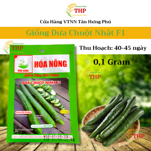 Hạt giống Dưa Chuột Nhật F1 | Hạt giống | gói 0.1gr