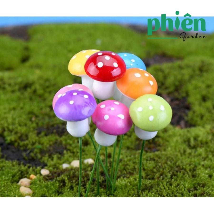 Cây Nấm trang trí tiểu cảnh, sen đá, terrarium, Phụ kiện Tiểu cảnh mini