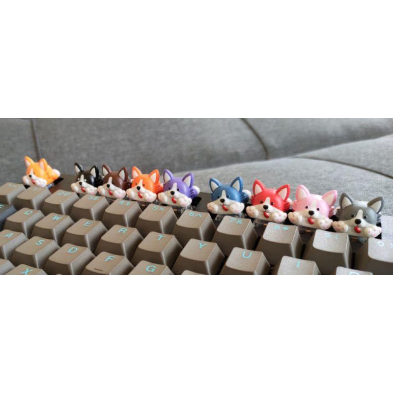 keycap chó cogir