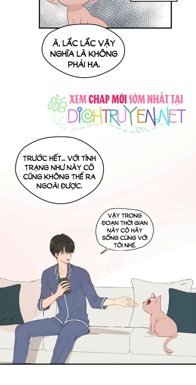 cuộc sống kỳ thú chapter 3 9