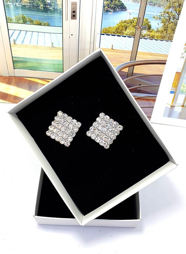 Bông tai / khuyên tai cao cấp