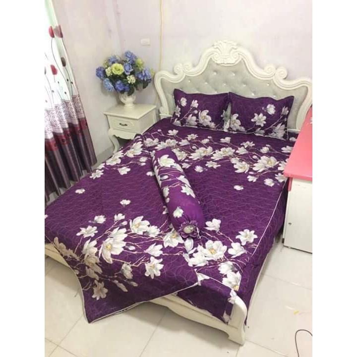 BỘ CHĂN GA GỐI PHỦ TRẦN BÔNG COTTON POLY NHIỀU MÀU